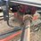 bush-hog-2620-image-6