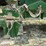 #2359-•-lippman-t-1260-jaw-and-roll-crushers-image-41