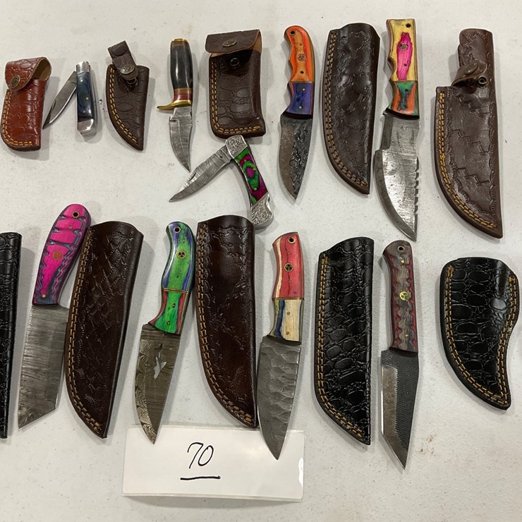 #70 • 10 assorted knives