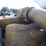 1985-kenworth-w900-image-29
