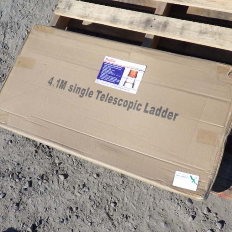Telescopic Ladder