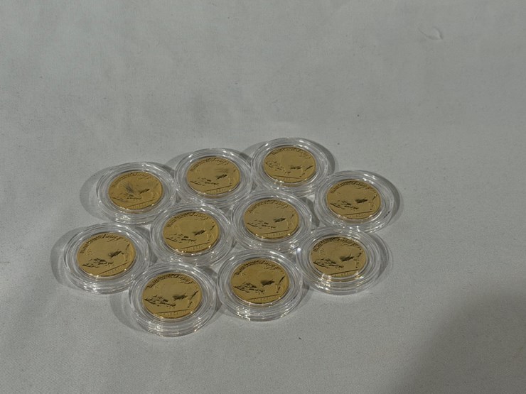 #40216-•-(10)-gold-plated-buffalo-nickels-image-7