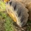 2015-caterpillar-914k-image-57