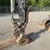 2008-volvo-ec55b-image-13