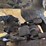 takeuchi-tb1140-image-16