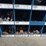 hd-5x8-organizer-with-dowel-pins,-shoulder-bolts,-and-flathead-bolts,-35''-x-21''-tall-image-8