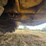 caterpillar-621-image-23