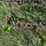 tire-chains-image-7