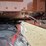 2018-peterbilt-389-image-122