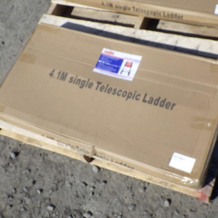 Telescopic Ladder