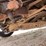 #11991-•-1962-gmc-pickup-(has-tn-title)-(mosinee,-wi)-image-7