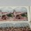 #40296-•-old-pictures/stereoscope-cards-(45)-image-38