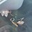 #10642-•-1959-buick-lesabre-(has-nm-title)-(mosinee,-wi)-image-74