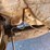 #11141-•-1976-datsun-pickup-(tn-title)-(mosinee,-wi)-image-18