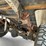 #1057-•-1986-chevrolet-ck10-(has-nm-title)-(on-site-in-las-cruces,-nm)-image-70