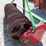 brillion-pups-image-4