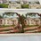#40296-•-old-pictures/stereoscope-cards-(45)-image-20