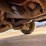 #11990-•-1976-chevy-silverado-pickup-(has-id-title)-(mosinee,-wi)-image-25