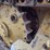 1995-caterpillar-d3c-xl-iii-image-24