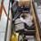 hd-roll-around-cart-with-hd-trolly-ram-and-accessories,-and-lot-of-hd-steel-plates-image-6