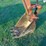 kubota-kx91-3-image-3