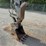 2008-volvo-ec55b-image-12