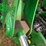 2023-john-deere-fc12e-image-76