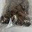 #40276-•-(400)-wheat-pennies-mixed-dates-image-6