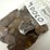 #40060-•-(200)-wheat-pennies-image-2
