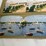 #40296-•-old-pictures/stereoscope-cards-(45)-image-5