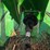 2023-john-deere-fc12e-image-102