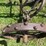 allis-chalmers-14”-two-bottom-pull-type-moldboard-plow-image-16