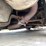 #9074-•-1979-chevrolet-corvette-l-48-(has-mn-title)-(huchinson,-mn)-image-14