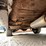 #7000-•-1963-chevy-impala-(has-wi-title)-(colfax,-wi)-image-49