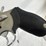 #20-•-taurus-tracker-revolver-image-17