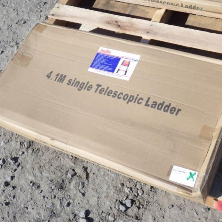 Telescopic Ladder