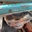 #11991-•-1962-gmc-pickup-(has-tn-title)-(mosinee,-wi)-image-67