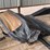 #1060-•-convertible-top-(on-site-in-las-cruces,-nm)-image-1