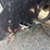 2010-kenworth-t800-image-18