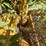 2015-caterpillar-914k-image-37