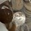 #40060-•-(200)-wheat-pennies-image-3