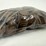 #40055-•-(400)-mix-date-wheat-pennies-image-7