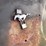 #1056-•-1973-ford-mustang-(has-a-tn-title)-(on-site-in-las-cruces,-nm)-image-86