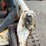 2014-bobcat-t650-image-10