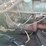 #10642-•-1959-buick-lesabre-(has-nm-title)-(mosinee,-wi)-image-57