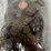 #40276-•-(400)-wheat-pennies-mixed-dates-image-5