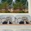 #40296-•-old-pictures/stereoscope-cards-(45)-image-35