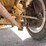#11141-•-1976-datsun-pickup-(tn-title)-(mosinee,-wi)-image-26
