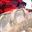 case-ih-maxxum-140-image-25