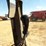case-ih-7110-image-14
